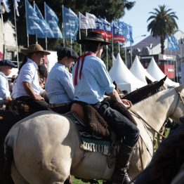 Expo Rural Prado 2024 (100)