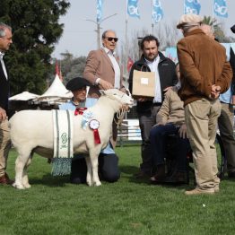 Expo Rural Prado 2024 (103)