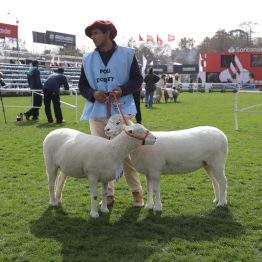 Expo Rural Prado 2024 (104)