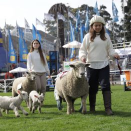 Expo Rural Prado 2024 (105)