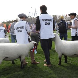 Expo Rural Prado 2024 (107)