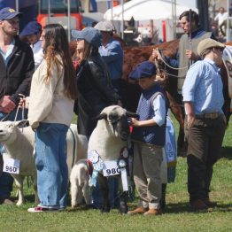 Expo Rural Prado 2024 (179)