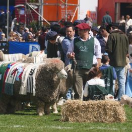 Expo Rural Prado 2024 (181)