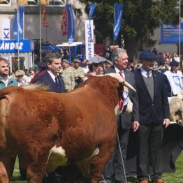 Expo Rural Prado 2024 (182)