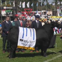 Expo Rural Prado 2024 (183)