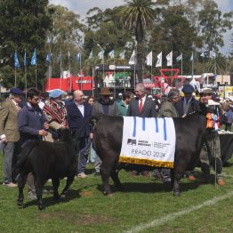 Expo Rural Prado 2024 (184)