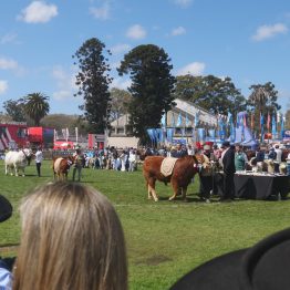 Expo Rural Prado 2024 (185)