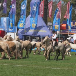 Expo Rural Prado 2024 (188)