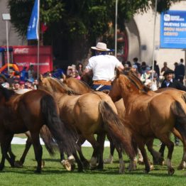 Expo Rural Prado 2024 (189)