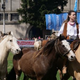 Expo Rural Prado 2024 (190)