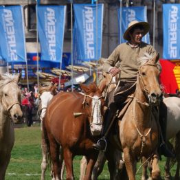 Expo Rural Prado 2024 (191)