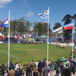 Expo Rural Prado 2024 (192)