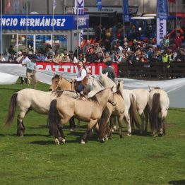 Expo Rural Prado 2024 (193)