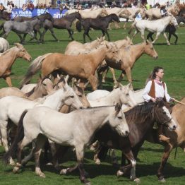 Expo Rural Prado 2024 (195)