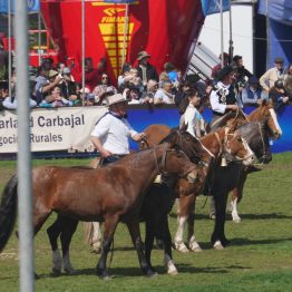 Expo Rural Prado 2024 (197)