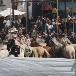 Expo Rural Prado 2024 (198)