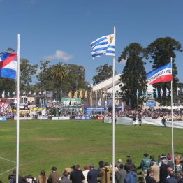 Expo Rural Prado 2024 (199)