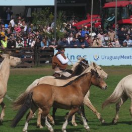 Expo Rural Prado 2024 (200)