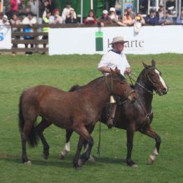 Expo Rural Prado 2024 (202)