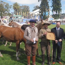 Expo Rural Prado 2024 (207)