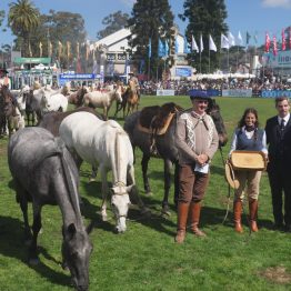 Expo Rural Prado 2024 (208)