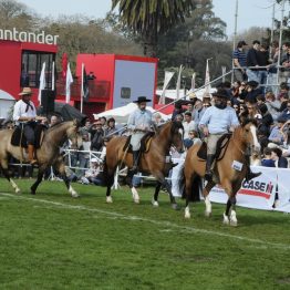 Expo Rural Prado 2024 (21)