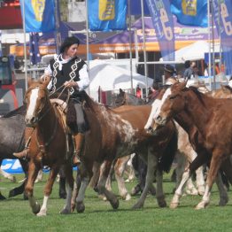 Expo Rural Prado 2024 (212)