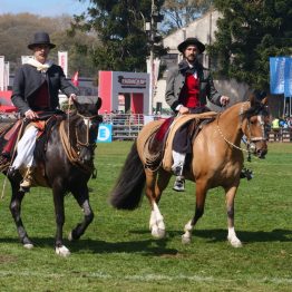 Expo Rural Prado 2024 (215)