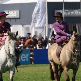 Expo Rural Prado 2024 (217)