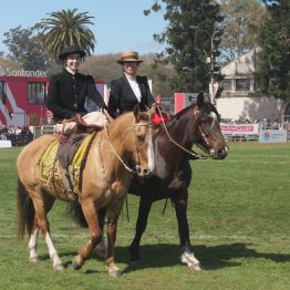 Expo Rural Prado 2024 (226)