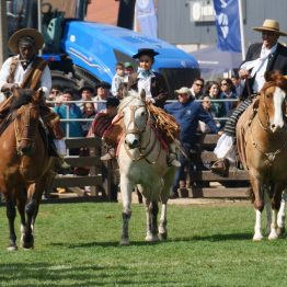 Expo Rural Prado 2024 (227)