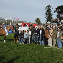 Expo Rural Prado 2024 (24)