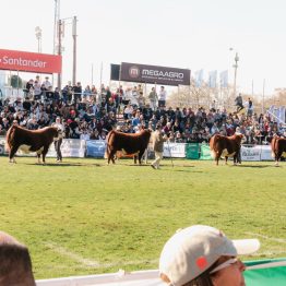 Expo Rural Prado 2024 (253)