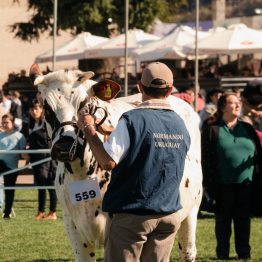 Expo Rural Prado 2024 (261)