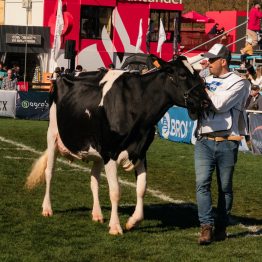 Expo Rural Prado 2024 (264)