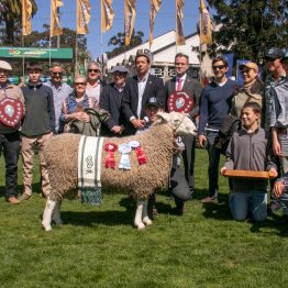 Expo Rural Prado 2024 (273)