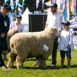 Expo Rural Prado 2024 (276)