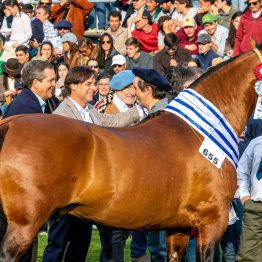 Expo Rural Prado 2024 (281)