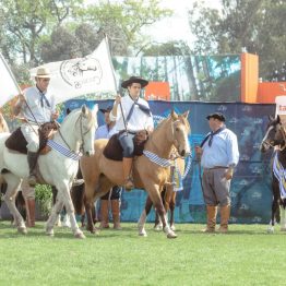 Expo Rural Prado 2024 (290)