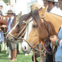 Expo Rural Prado 2024 (292)