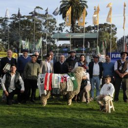 Expo Rural Prado 2024 (35)