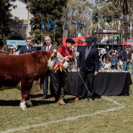 Expo Rural Prado 2024 (50)