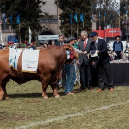 Expo Rural Prado 2024 (51)