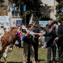 Expo Rural Prado 2024 (52)