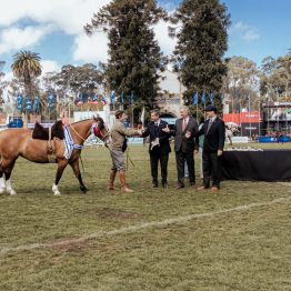 Expo Rural Prado 2024 (55)