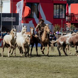 Expo Rural Prado 2024 (57)