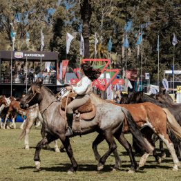 Expo Rural Prado 2024 (60)