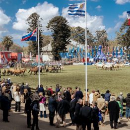 Expo Rural Prado 2024 (61)