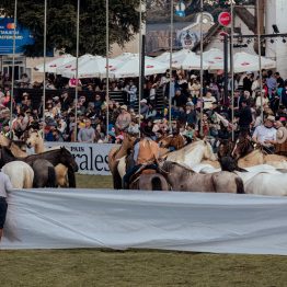 Expo Rural Prado 2024 (62)