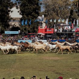 Expo Rural Prado 2024 (64)